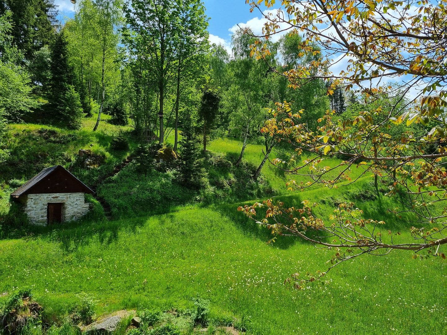 Prodej domu 175 m², pozemek 9.362 m², St. Martin, Dolní Rakousko Prodej domu 175 m², pozemek 9.362 m², St. Martin, Dolní Rakousko