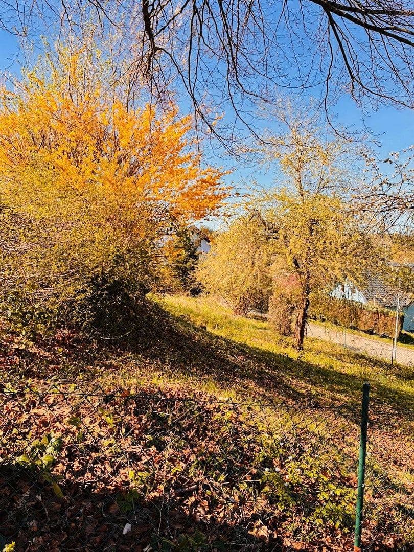 Prodej domu 170 m², pozemek 1.474 m², Schönbrunn, Bádensko-Württembersko Prodej domu 170 m², pozemek 1.474 m², Schönbrunn, Bádensko-Württembersko