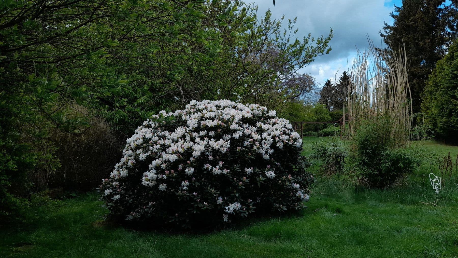 Prodej domu 324 m², pozemek 1.787 m², Potsdam, Braniborsko Prodej domu 324 m², pozemek 1.787 m², Potsdam, Braniborsko