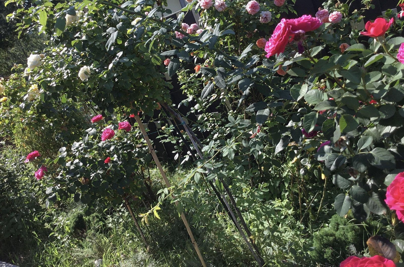 Prodej domu 324 m², pozemek 1.787 m², Potsdam, Braniborsko Prodej domu 324 m², pozemek 1.787 m², Potsdam, Braniborsko