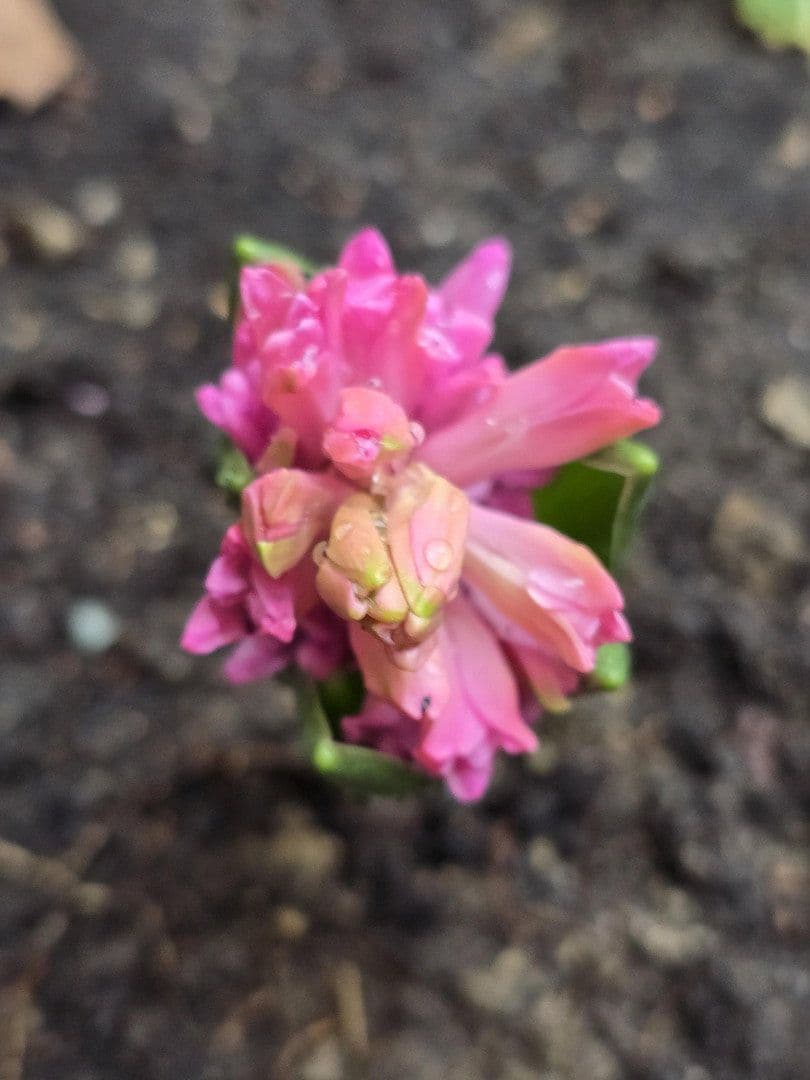 Pronájem bytu 2+1 43 m², Rothenburger Str. 55, Nürnberg, Bavorsko Pronájem bytu 2+1 43 m², Rothenburger Str. 55, Nürnberg, Bavorsko