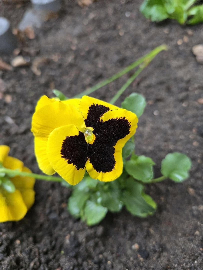 Pronájem bytu 2+1 43 m², Rothenburger Str. 55, Nürnberg, Bavorsko Pronájem bytu 2+1 43 m², Rothenburger Str. 55, Nürnberg, Bavorsko