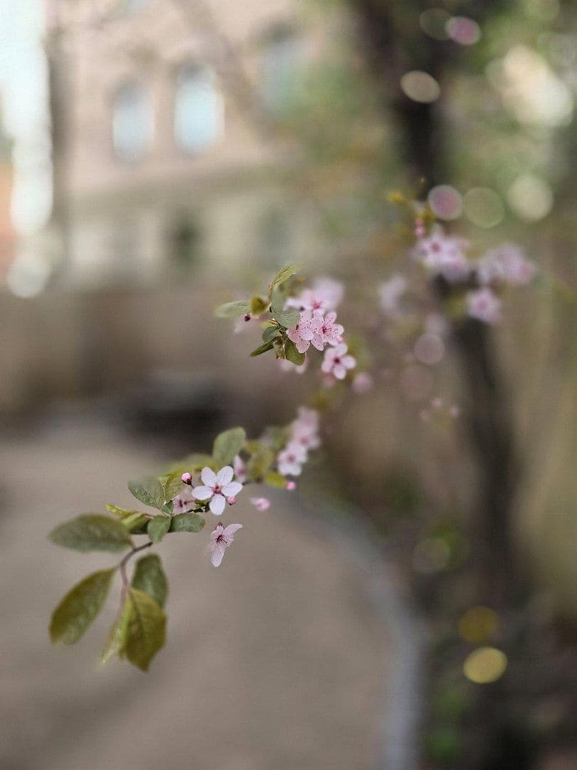 Pronájem bytu 2+1 43 m², Rothenburger Str. 55, Nürnberg, Bavorsko Pronájem bytu 2+1 43 m², Rothenburger Str. 55, Nürnberg, Bavorsko