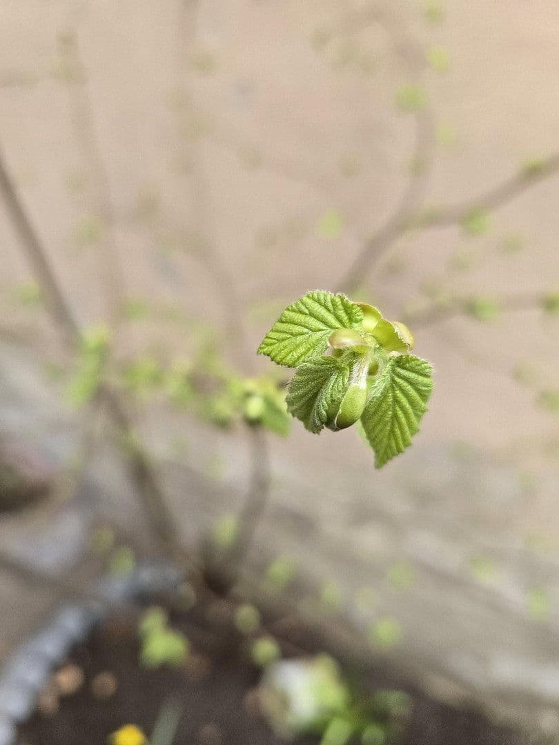 Pronájem bytu 2+1 43 m², Rothenburger Str. 55, Nürnberg, Bavorsko Pronájem bytu 2+1 43 m², Rothenburger Str. 55, Nürnberg, Bavorsko