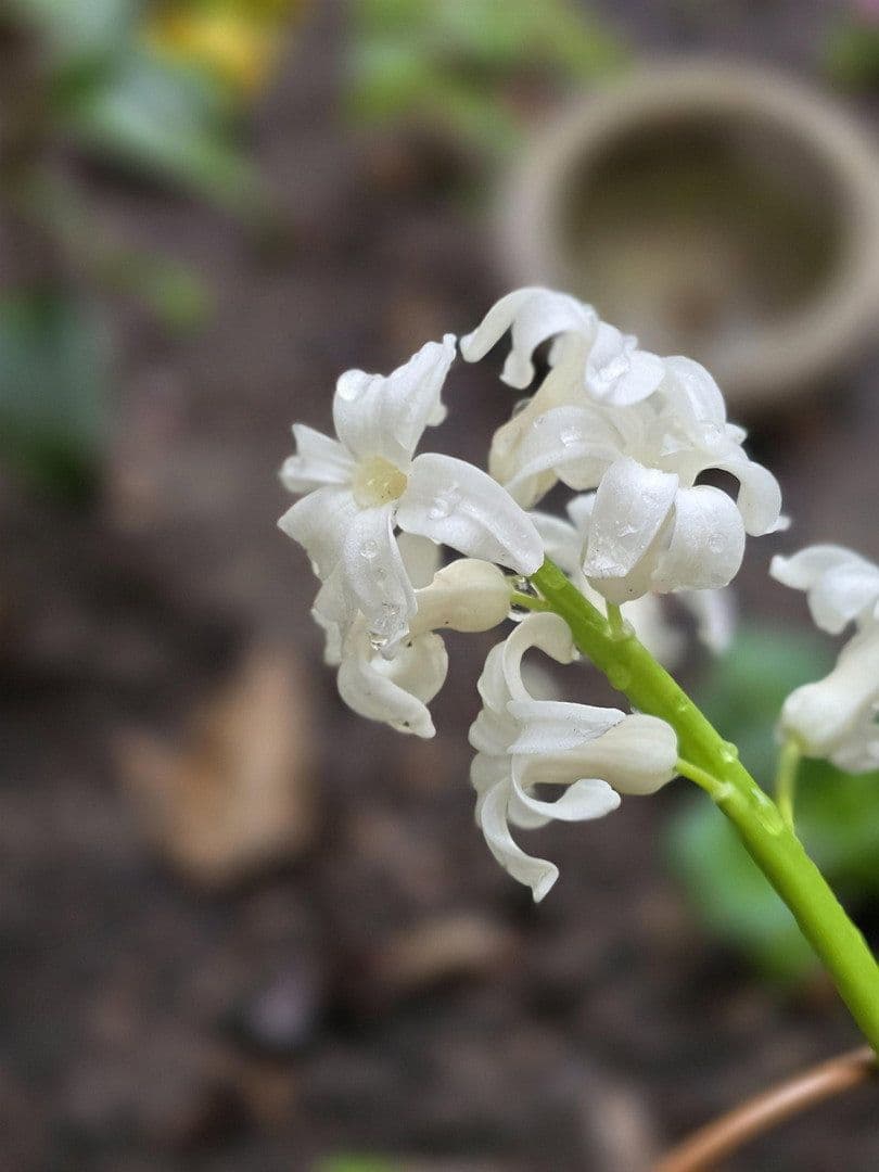 Pronájem bytu 2+1 43 m², Rothenburger Str. 55, Nürnberg, Bavorsko Pronájem bytu 2+1 43 m², Rothenburger Str. 55, Nürnberg, Bavorsko