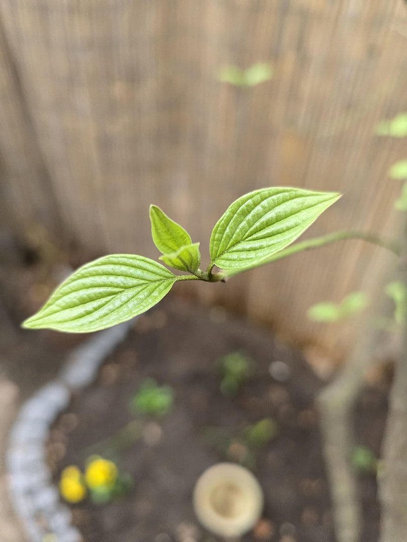 Pronájem bytu 2+1 43 m², Rothenburger Str. 55, Nürnberg, Bavorsko Pronájem bytu 2+1 43 m², Rothenburger Str. 55, Nürnberg, Bavorsko