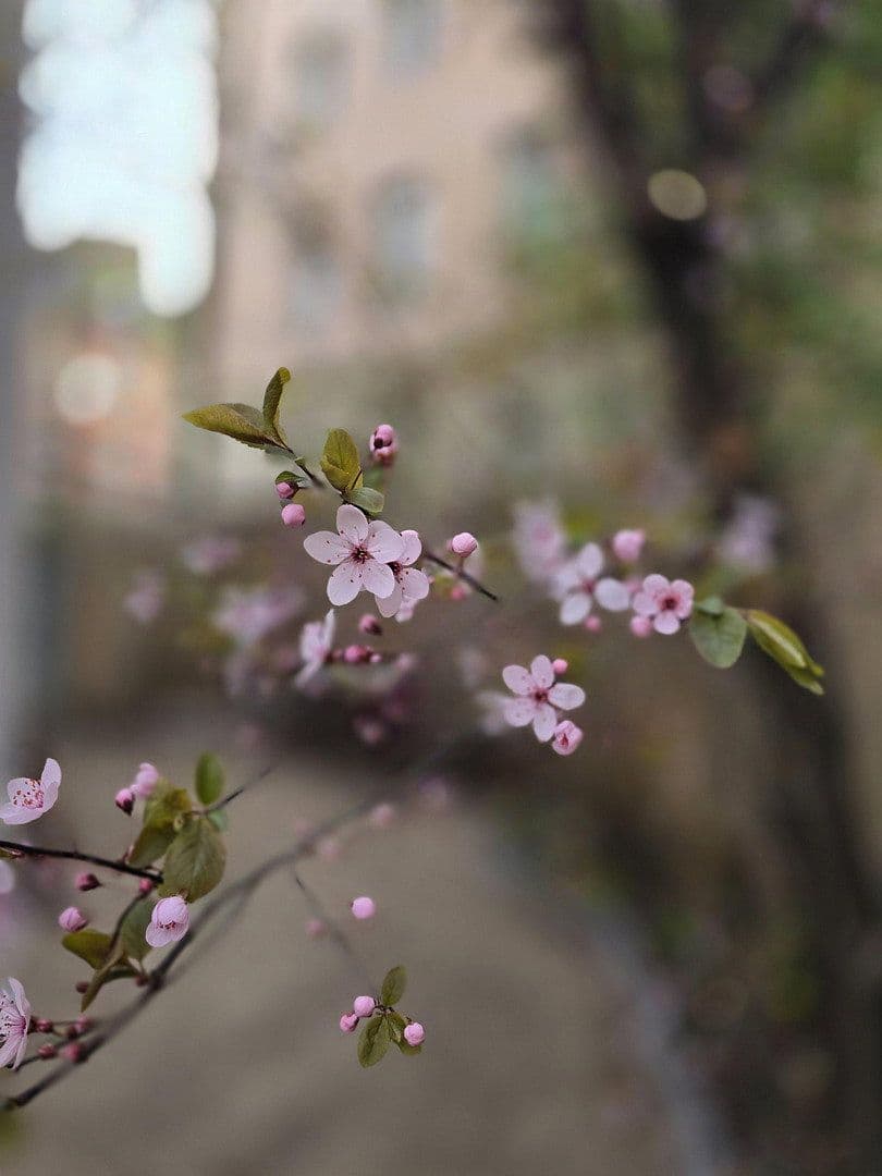 Pronájem bytu 2+1 43 m², Rothenburger Str. 55, Nürnberg, Bavorsko Pronájem bytu 2+1 43 m², Rothenburger Str. 55, Nürnberg, Bavorsko