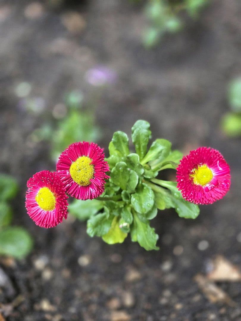 Pronájem bytu 2+1 43 m², Rothenburger Str. 55, Nürnberg, Bavorsko Pronájem bytu 2+1 43 m², Rothenburger Str. 55, Nürnberg, Bavorsko