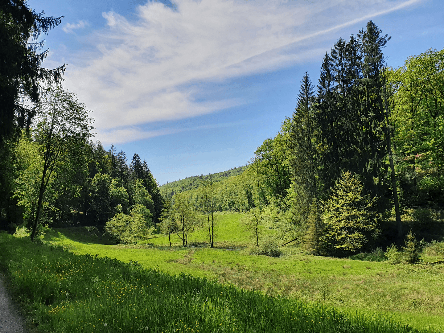 Prodej bytu 3+kk 92 m², Neustadt am Main, Bavorsko Prodej bytu 3+kk 92 m², Neustadt am Main, Bavorsko