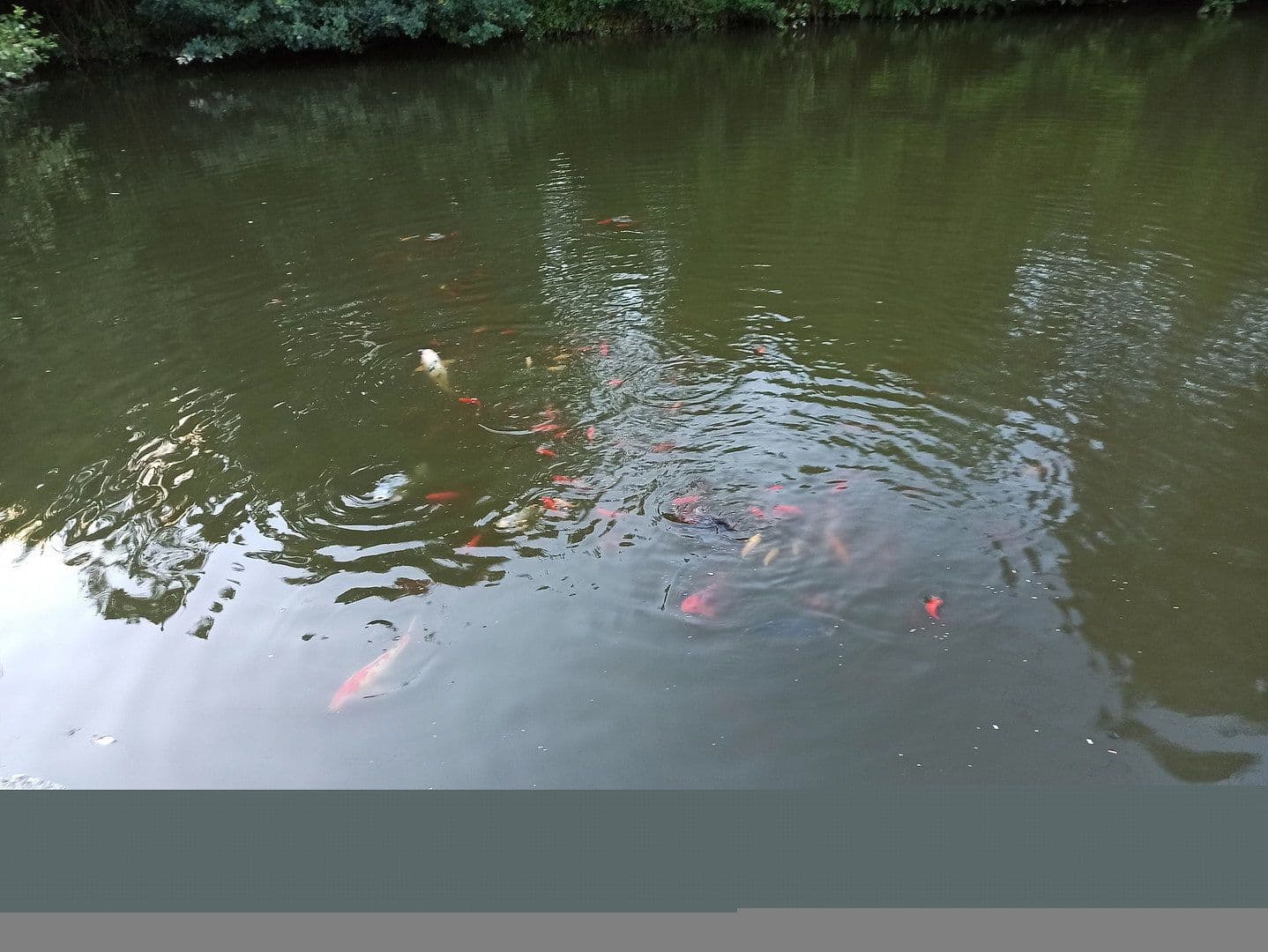 Prodej domu 500 m², pozemek 7.000 m², Altenkirchen (Westerwald), Porýní-Falc Prodej domu 500 m², pozemek 7.000 m², Altenkirchen (Westerwald), Porýní-Falc