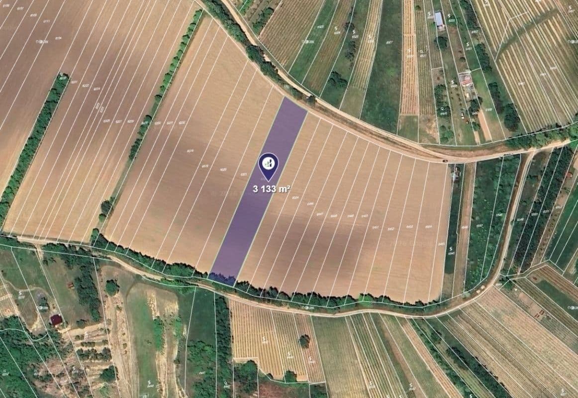 Prodej pozemku 915 m², Kobylí, Jihomoravský kraj Prodej pozemku 915 m², Kobylí, Jihomoravský kraj