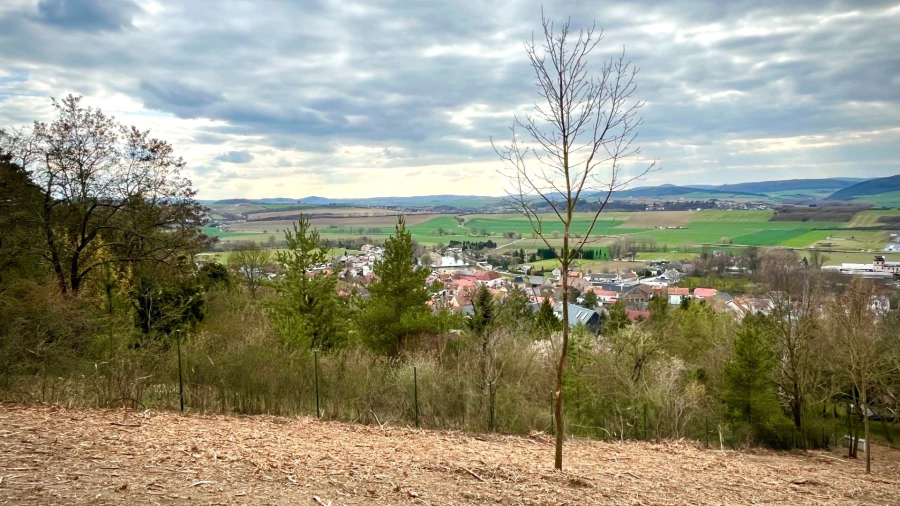 Prodej pozemku 511 m², Chodouň, Středočeský kraj Prodej pozemku 511 m², Chodouň, Středočeský kraj