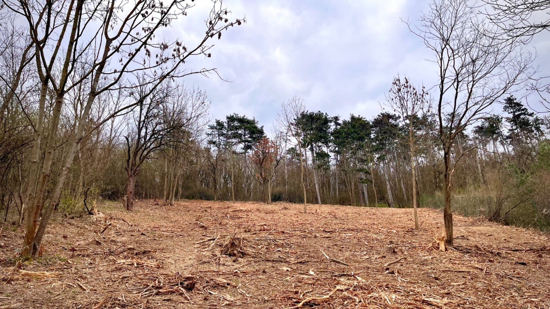 Prodej pozemku 511 m², Chodouň, Středočeský kraj Prodej pozemku 511 m², Chodouň, Středočeský kraj