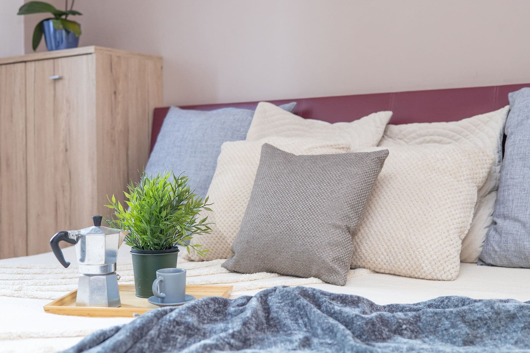 Prodej bytu 2+1 58 m², Purkyňova, Brno, Jihomoravský kraj Prodej bytu 2+1 58 m², Purkyňova, Brno, Jihomoravský kraj