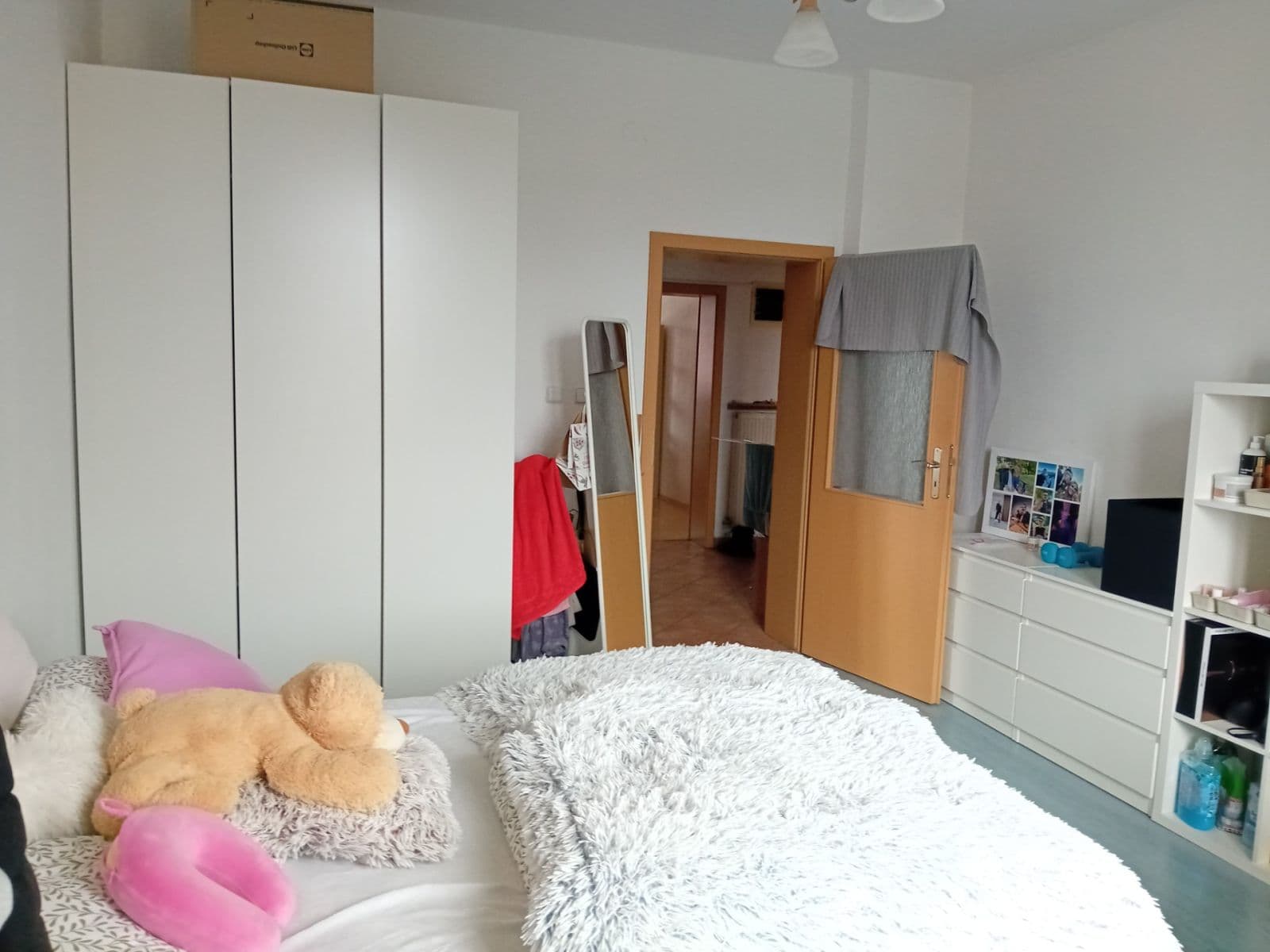 Pronájem bytu 2+1 68 m², Zemědělská, Brno, Jihomoravský kraj Pronájem bytu 2+1 68 m², Zemědělská, Brno, Jihomoravský kraj