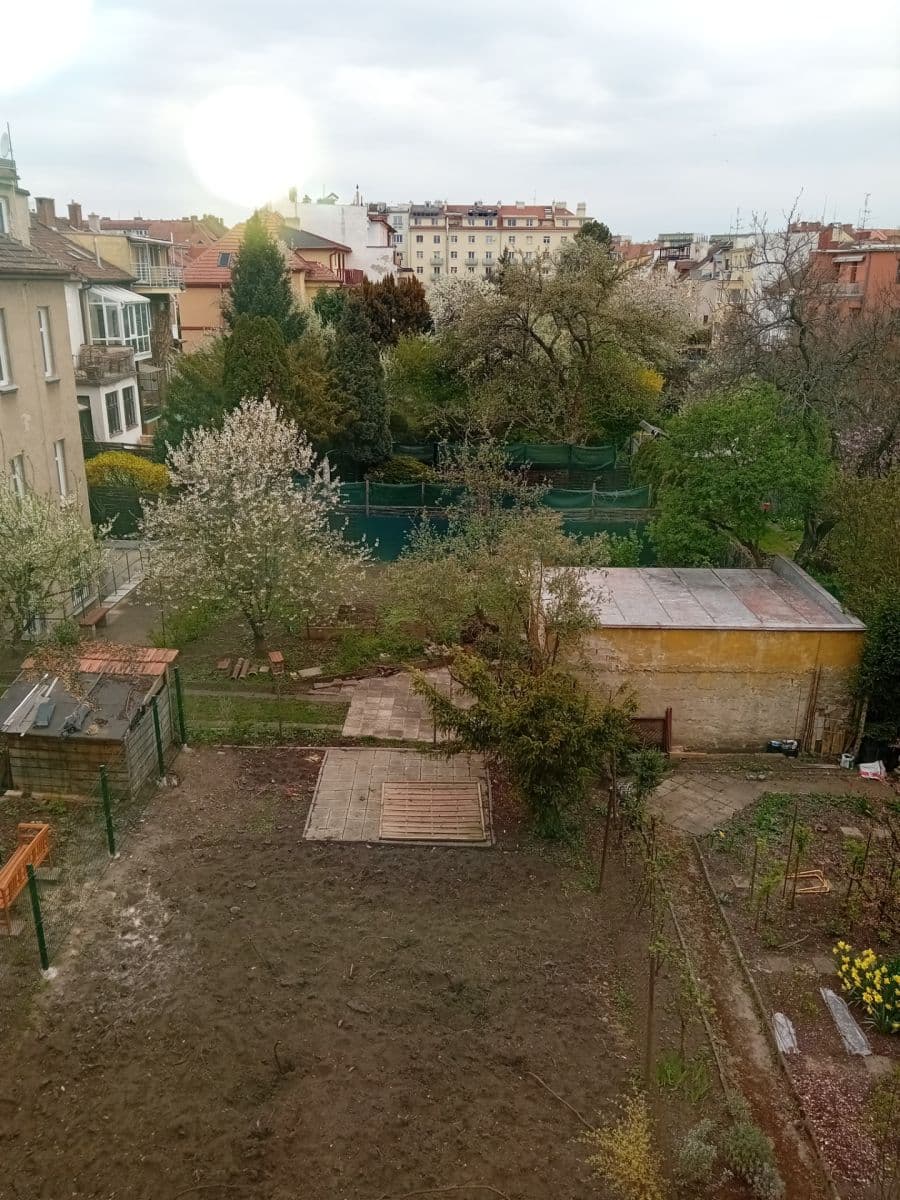 Pronájem bytu 2+1 68 m², Zemědělská, Brno, Jihomoravský kraj Pronájem bytu 2+1 68 m², Zemědělská, Brno, Jihomoravský kraj