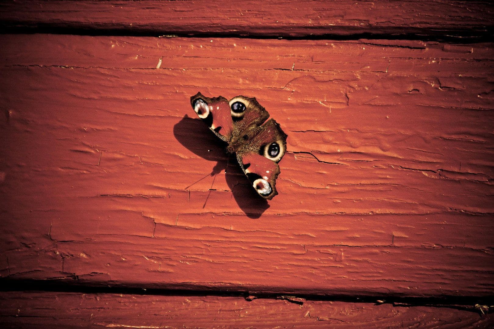 Prodej domu 52 m², pozemek 200 m², Goldberg, Mecklenburg-Vorpommern Prodej domu 52 m², pozemek 200 m², Goldberg, Mecklenburg-Vorpommern