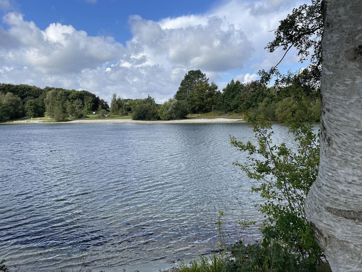 Pronájem bytu 5+1 120 m², Hauptstraße 50a, Hage, Dolní Sasko Pronájem bytu 5+1 120 m², Hauptstraße 50a, Hage, Dolní Sasko