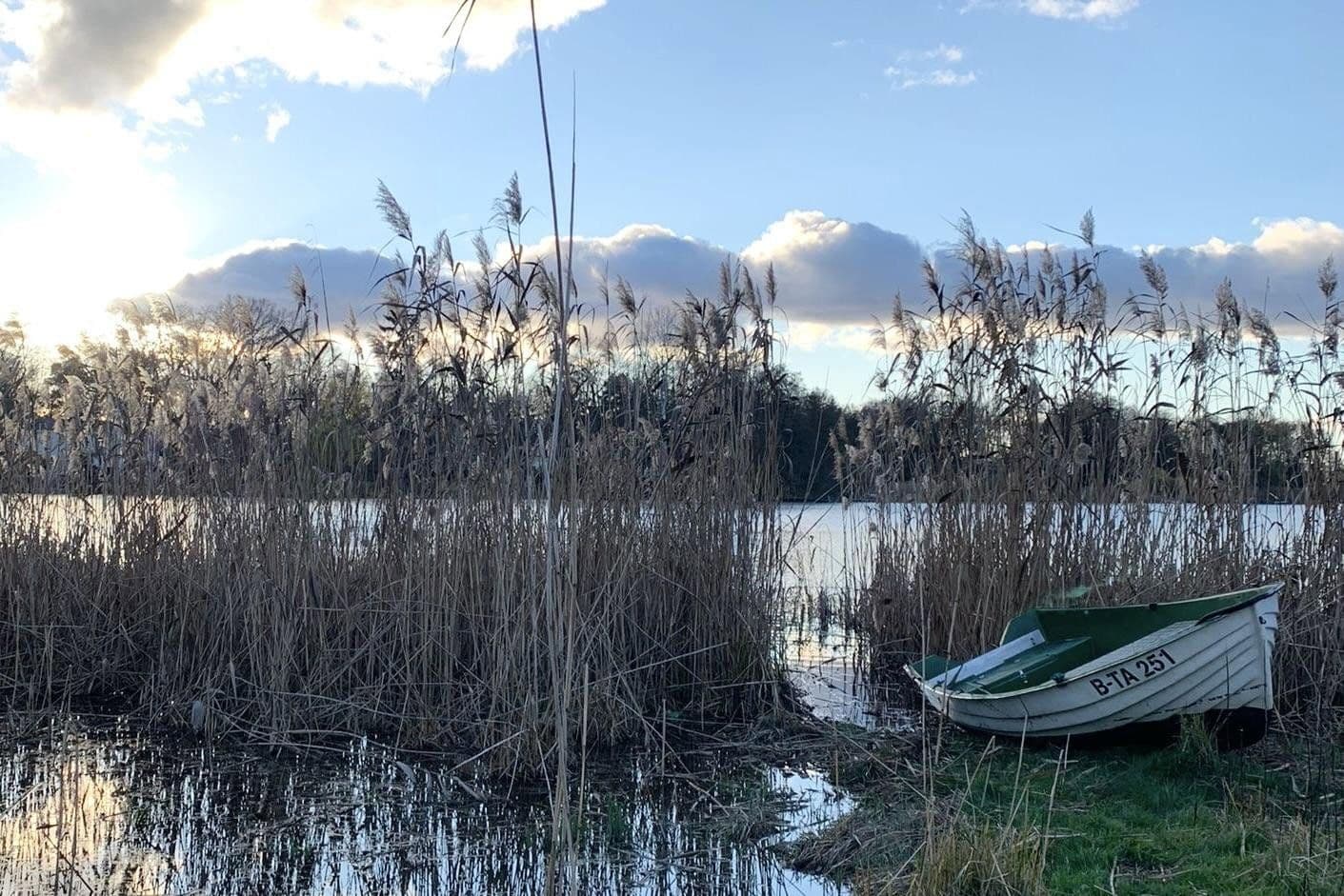 Prodej domu 200 m², pozemek 1.134 m², Falkensee, Braniborsko Prodej domu 200 m², pozemek 1.134 m², Falkensee, Braniborsko