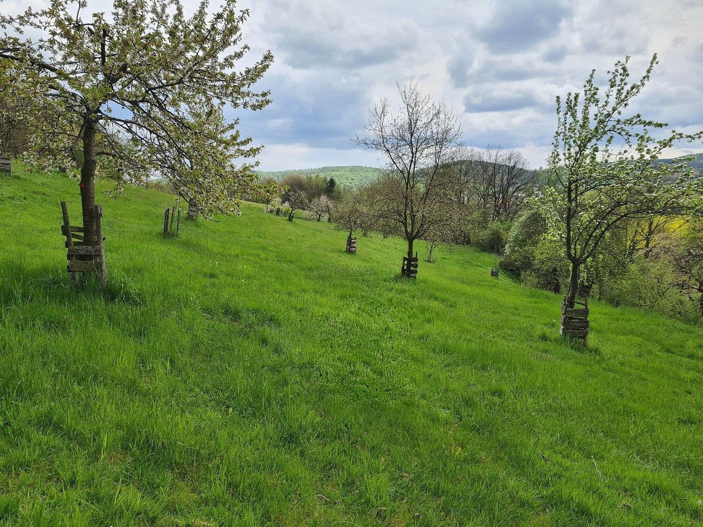 Prodej domu 590 m², pozemek 190.000 m², Liedemühle 1, Neuenstein, Hessen Prodej domu 590 m², pozemek 190.000 m², Liedemühle 1, Neuenstein, Hessen