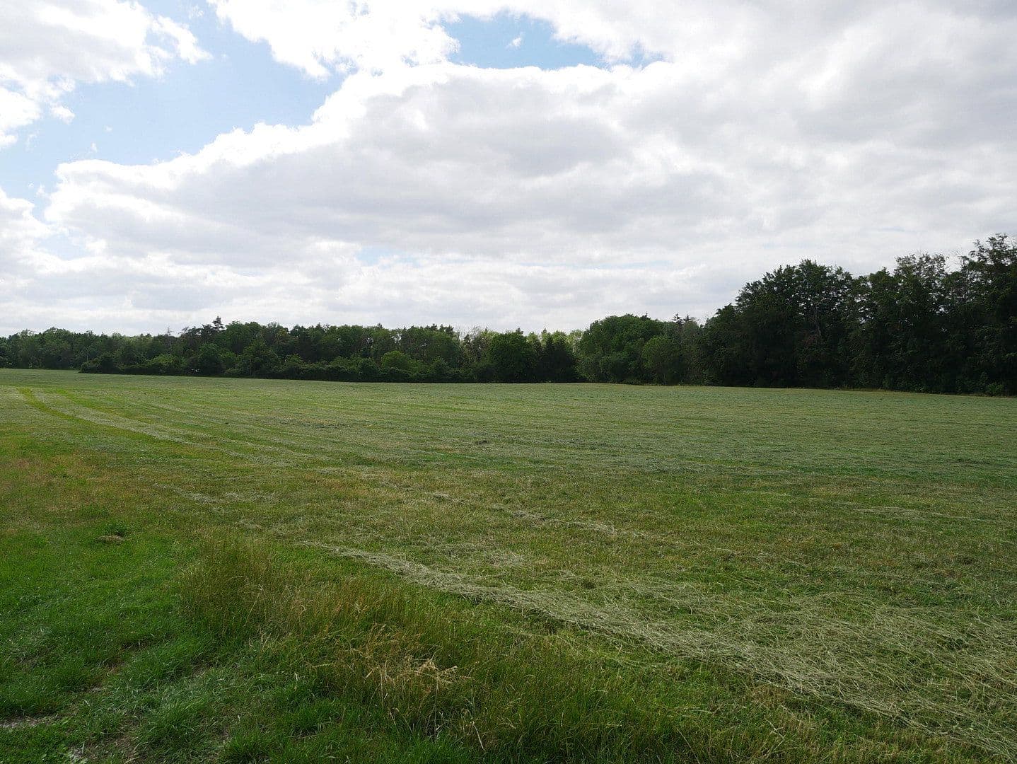 Pronájem bytu 2+1 58 m², Auf der Höhe 15, Jena-Remderoda, Durynsko Pronájem bytu 2+1 58 m², Auf der Höhe 15, Jena-Remderoda, Durynsko