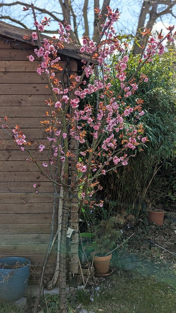 Prodej domu 127 m², pozemek 250 m², Hamburg, Hamburg Prodej domu 127 m², pozemek 250 m², Hamburg, Hamburg