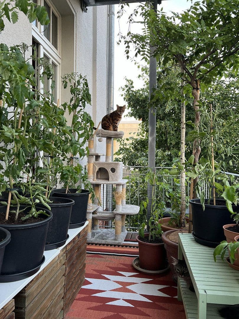 Prodej bytu 4+1 110 m², Hohenzollernring 18c, Berlin, Berlín Prodej bytu 4+1 110 m², Hohenzollernring 18c, Berlin, Berlín