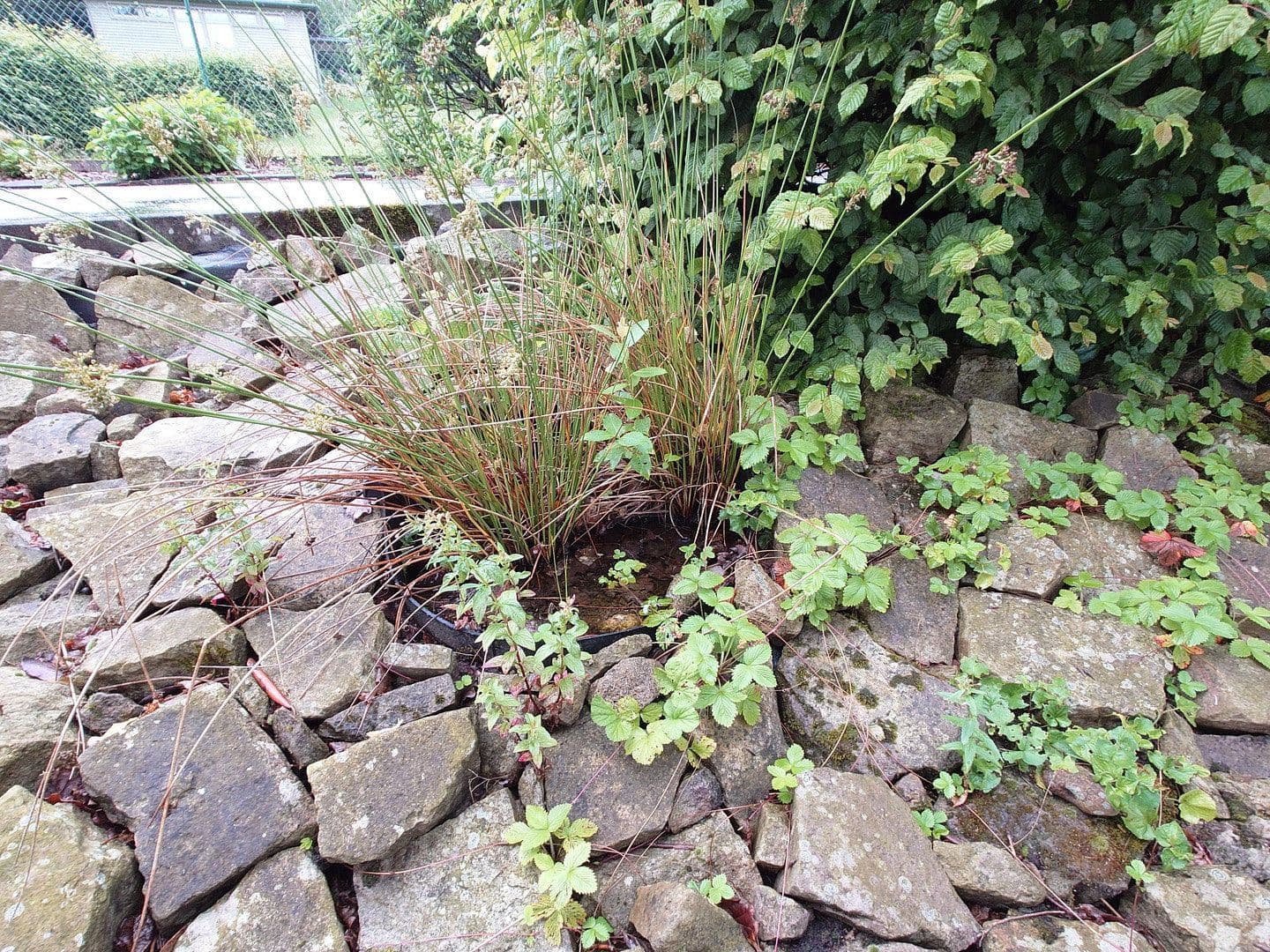 Pronájem bytu 2+1 55 m², Minden, Severní Porýní-Vestfálsko Pronájem bytu 2+1 55 m², Minden, Severní Porýní-Vestfálsko