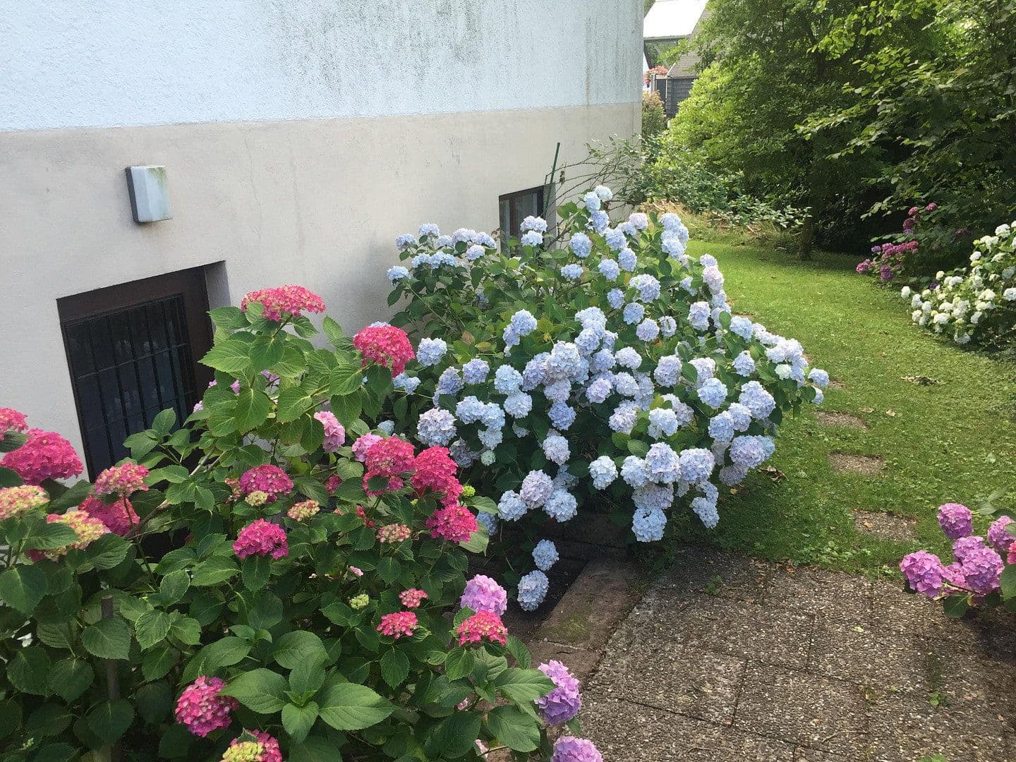 Prodej domu 356 m², pozemek 857 m², Freiburg, Bádensko-Württembersko Prodej domu 356 m², pozemek 857 m², Freiburg, Bádensko-Württembersko