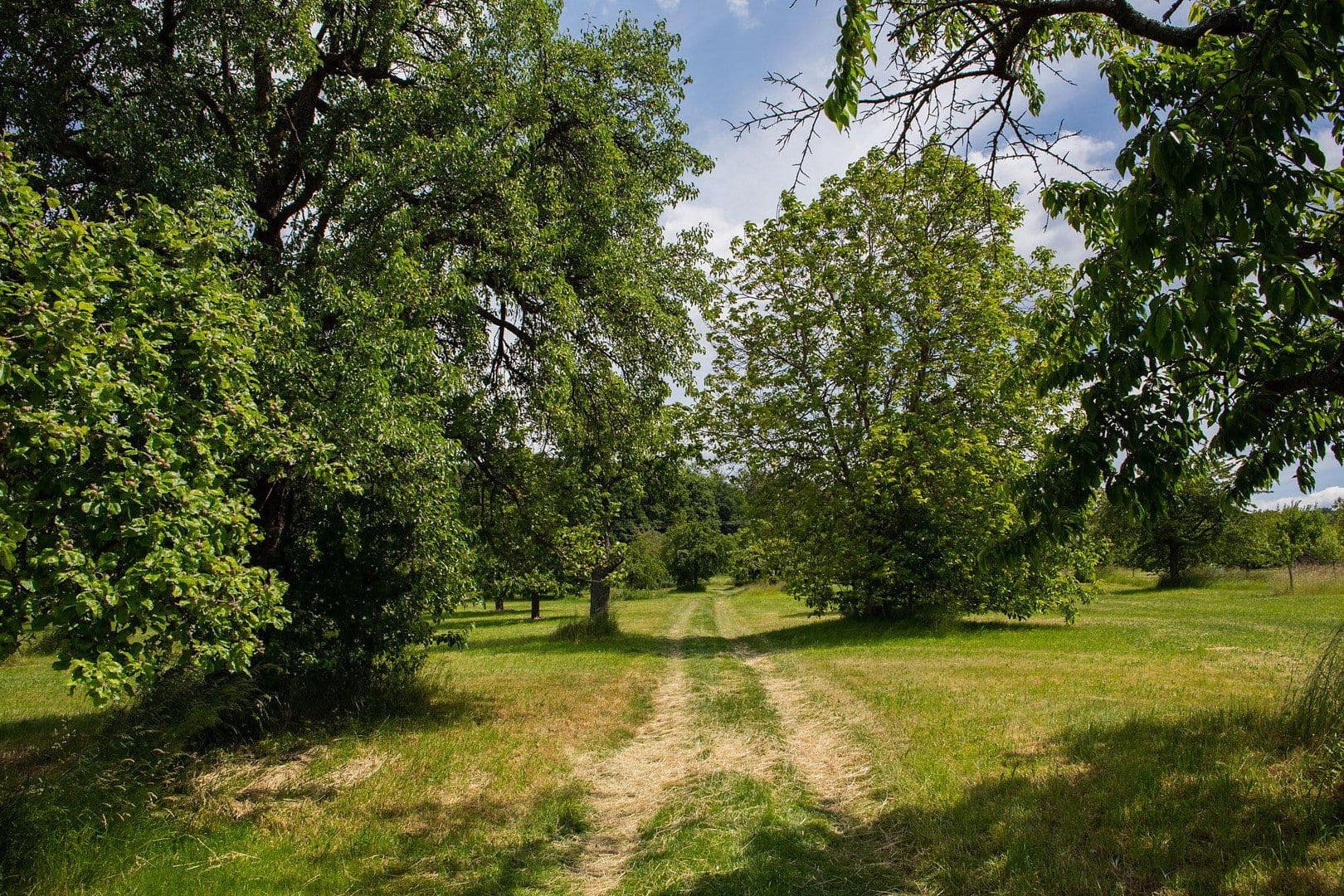Pronájem bytu 1+1 74 m², Neuenbürg, Bádensko-Württembersko Pronájem bytu 1+1 74 m², Neuenbürg, Bádensko-Württembersko