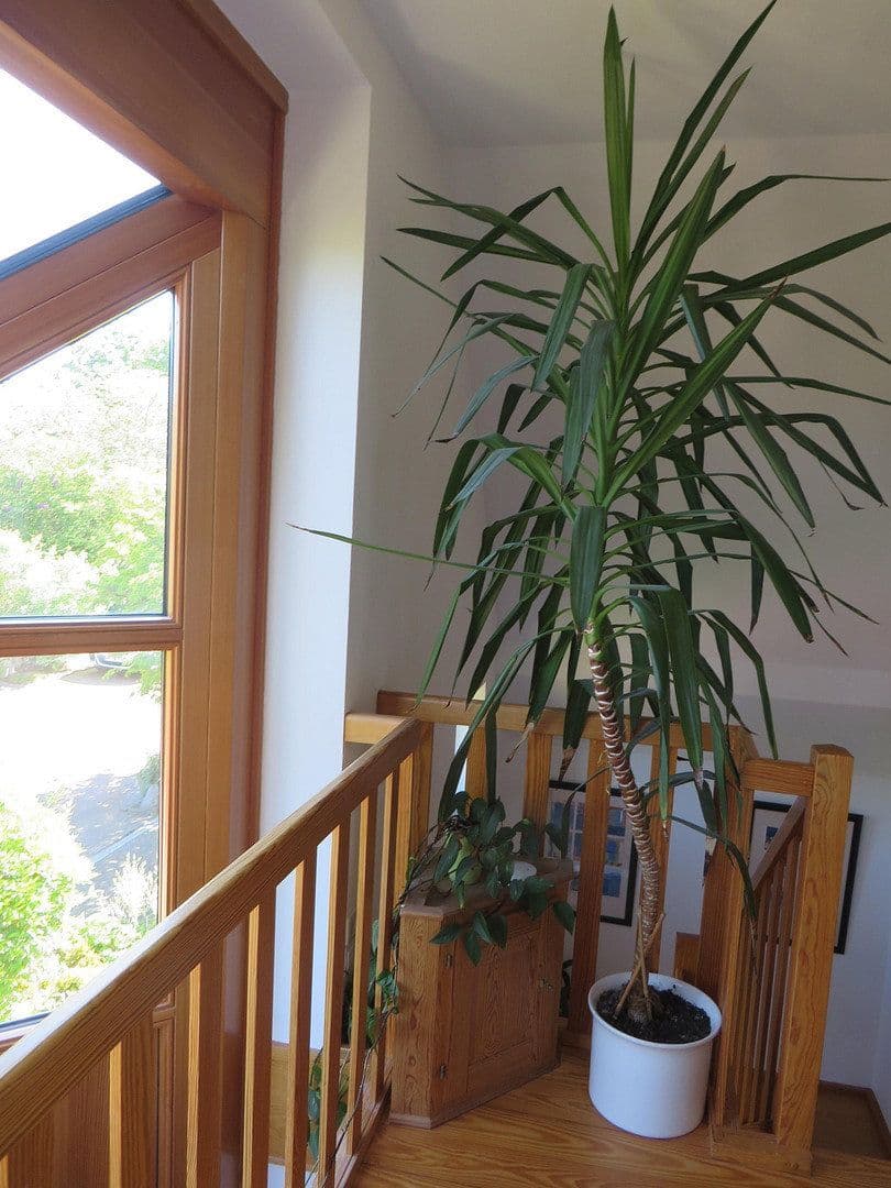 Prodej domu 170 m², pozemek 596 m², Hamburg, Hamburg Prodej domu 170 m², pozemek 596 m², Hamburg, Hamburg