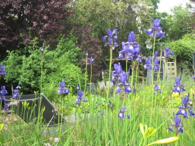 Prodej domu 170 m², pozemek 596 m², Hamburg, Hamburg Prodej domu 170 m², pozemek 596 m², Hamburg, Hamburg