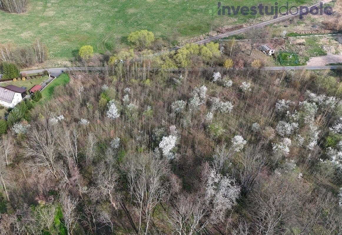 Prodej pozemku 8.600 m², Děčín, Ústecký kraj Prodej pozemku 8.600 m², Děčín, Ústecký kraj