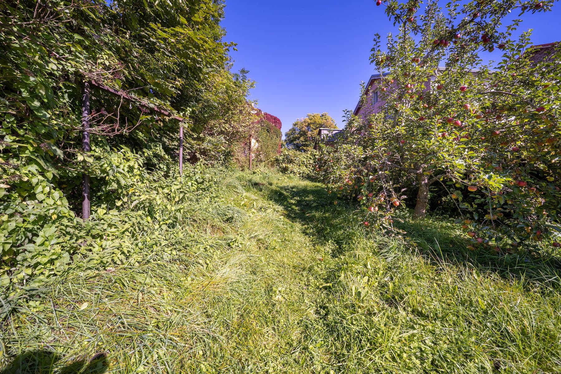 Prodej chaty, chalupy 150 m², pozemek 572 m², Černá v Pošumaví, Jihočeský kraj Prodej chaty, chalupy 150 m², pozemek 572 m², Černá v Pošumaví, Jihočeský kraj