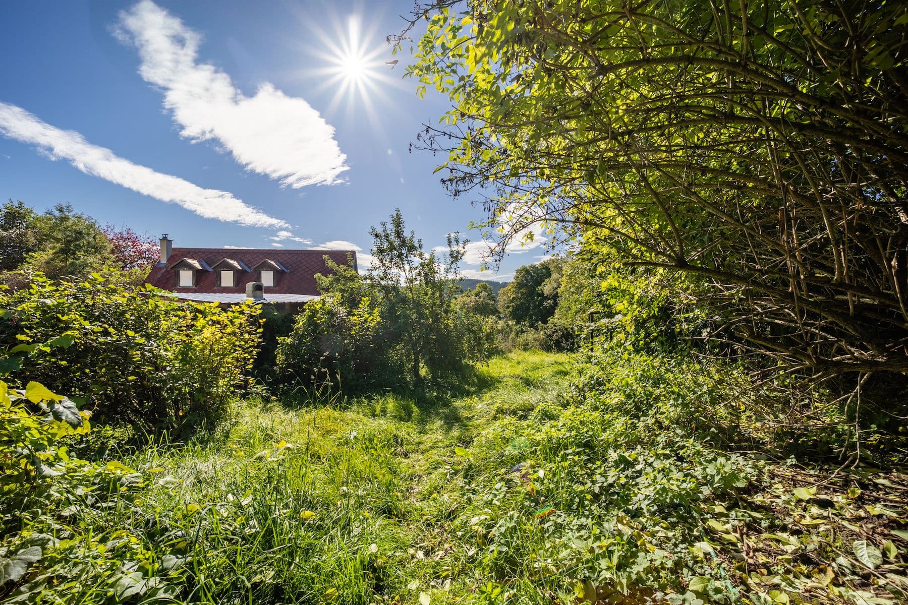 Prodej chaty, chalupy 150 m², pozemek 572 m², Černá v Pošumaví, Jihočeský kraj Prodej chaty, chalupy 150 m², pozemek 572 m², Černá v Pošumaví, Jihočeský kraj