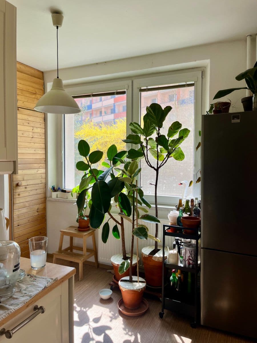 Pronájem bytu 2+1 62 m², Foltýnova, Brno, Jihomoravský kraj Pronájem bytu 2+1 62 m², Foltýnova, Brno, Jihomoravský kraj