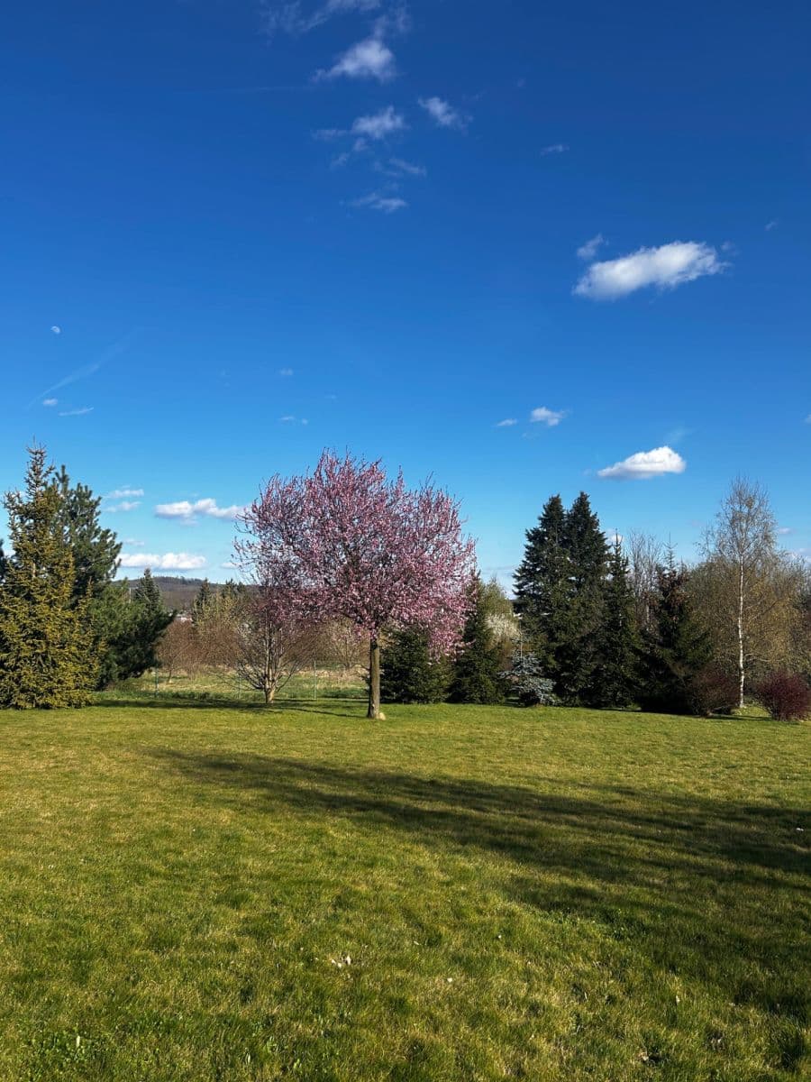 Prodej bytu 2+kk 72 m², Za Školou, Velký Újezd, Olomoucký kraj Prodej bytu 2+kk 72 m², Za Školou, Velký Újezd, Olomoucký kraj