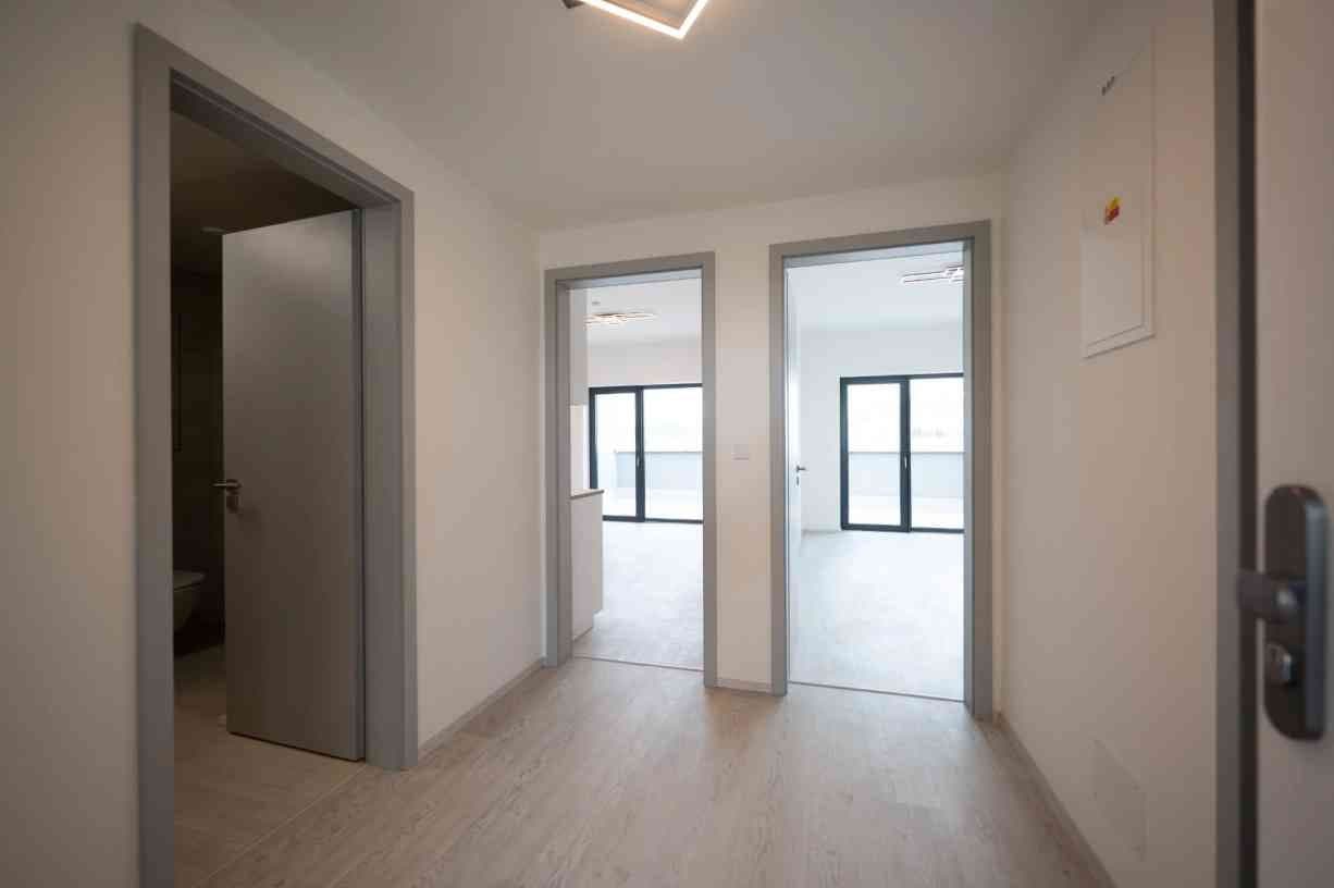 Pronájem bytu 2+kk 80 m², Nové sady, Brno, Jihomoravský kraj Pronájem bytu 2+kk 80 m², Nové sady, Brno, Jihomoravský kraj