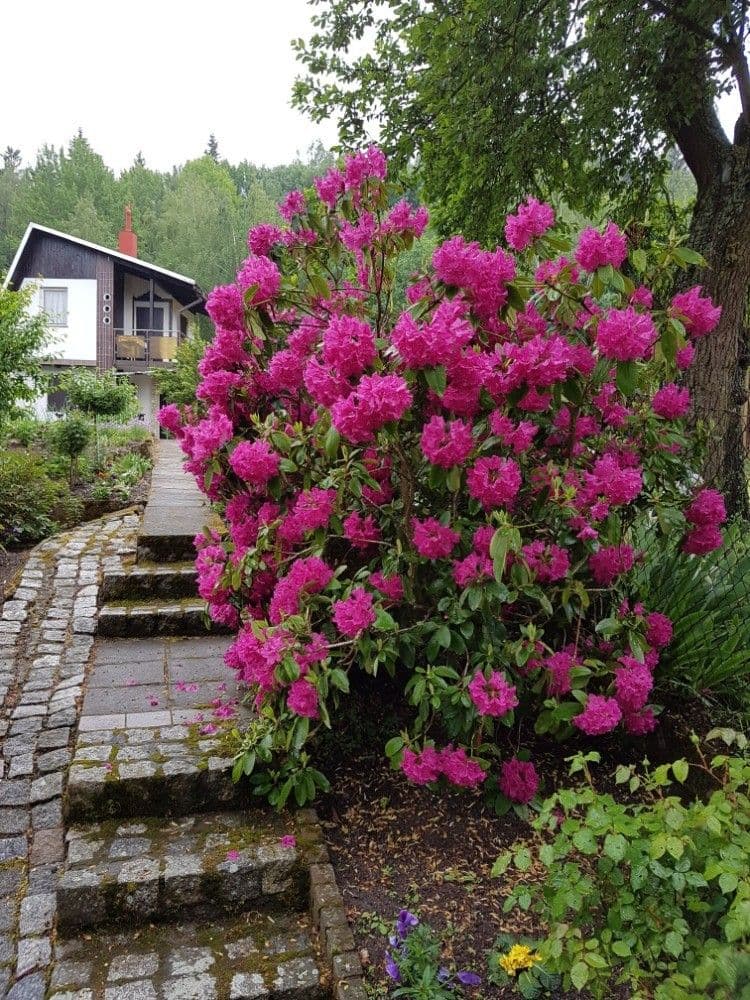 Prodej chaty, chalupy 40 m², pozemek 357 m², Karlovy Vary, Karlovarský kraj Prodej chaty, chalupy 40 m², pozemek 357 m², Karlovy Vary, Karlovarský kraj