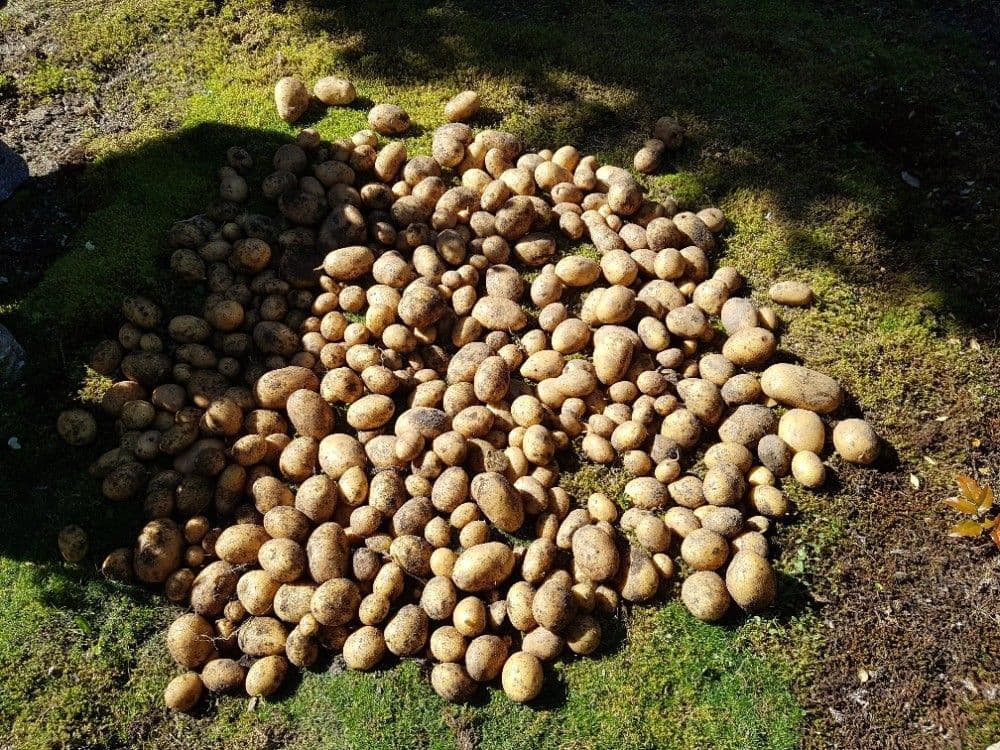 Prodej chaty, chalupy 40 m², pozemek 357 m², Karlovy Vary, Karlovarský kraj Prodej chaty, chalupy 40 m², pozemek 357 m², Karlovy Vary, Karlovarský kraj