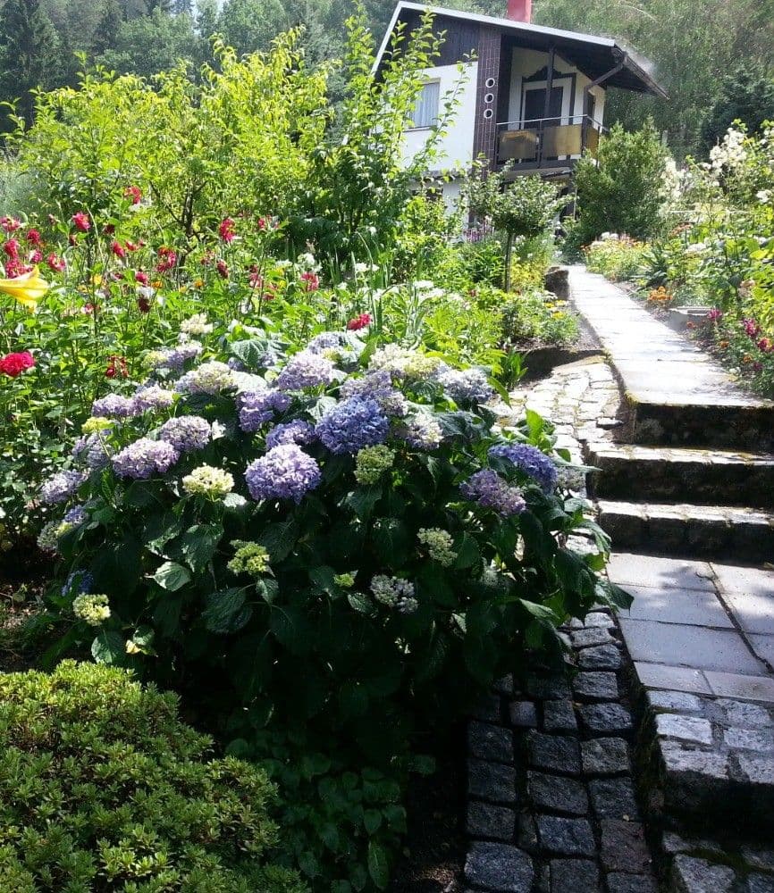 Prodej chaty, chalupy 40 m², pozemek 357 m², Karlovy Vary, Karlovarský kraj Prodej chaty, chalupy 40 m², pozemek 357 m², Karlovy Vary, Karlovarský kraj