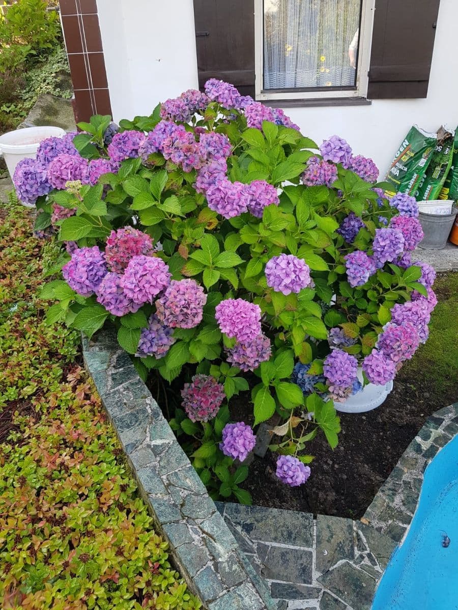 Prodej chaty, chalupy 40 m², pozemek 357 m², Karlovy Vary, Karlovarský kraj Prodej chaty, chalupy 40 m², pozemek 357 m², Karlovy Vary, Karlovarský kraj