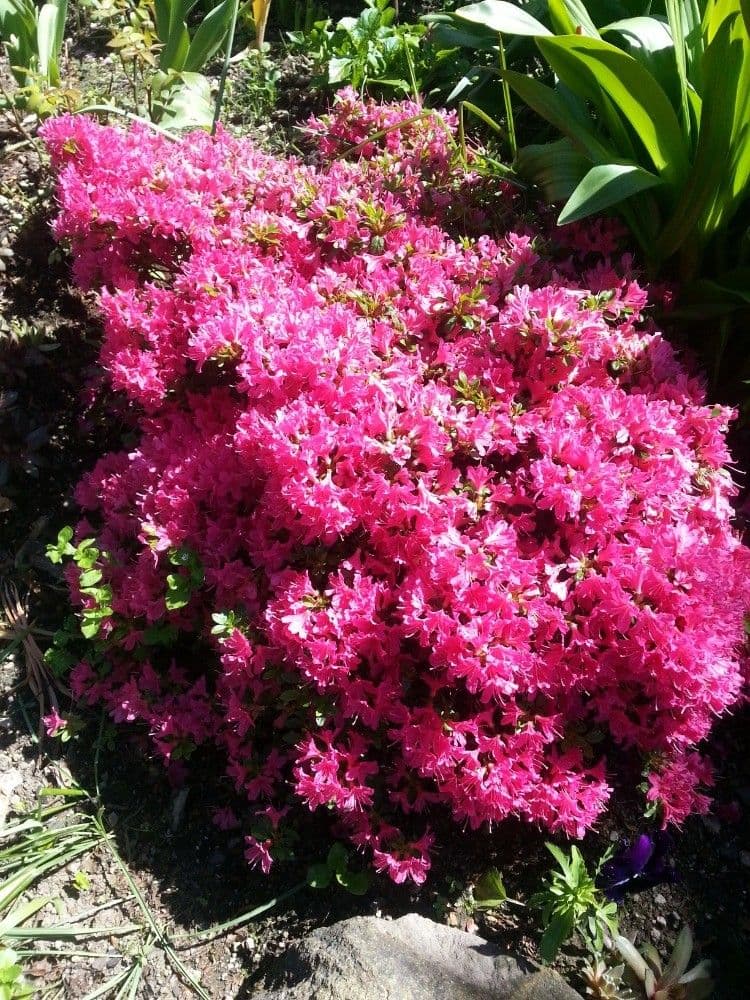 Prodej chaty, chalupy 40 m², pozemek 357 m², Karlovy Vary, Karlovarský kraj Prodej chaty, chalupy 40 m², pozemek 357 m², Karlovy Vary, Karlovarský kraj