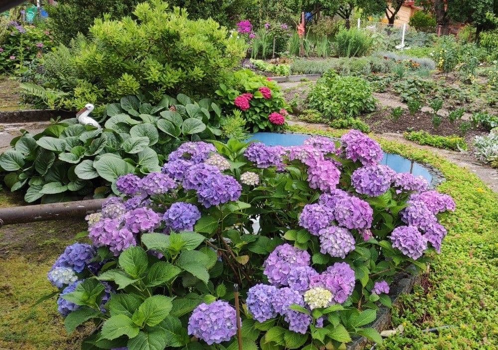 Prodej chaty, chalupy 40 m², pozemek 357 m², Karlovy Vary, Karlovarský kraj Prodej chaty, chalupy 40 m², pozemek 357 m², Karlovy Vary, Karlovarský kraj