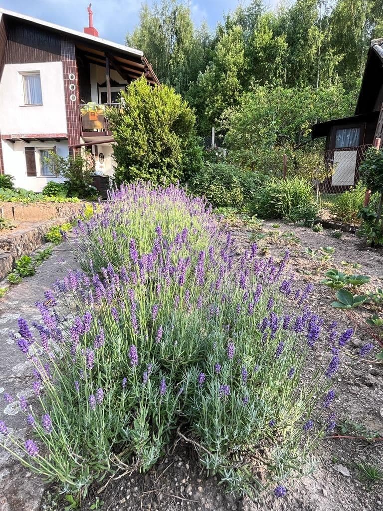 Prodej chaty, chalupy 40 m², pozemek 357 m², Karlovy Vary, Karlovarský kraj Prodej chaty, chalupy 40 m², pozemek 357 m², Karlovy Vary, Karlovarský kraj