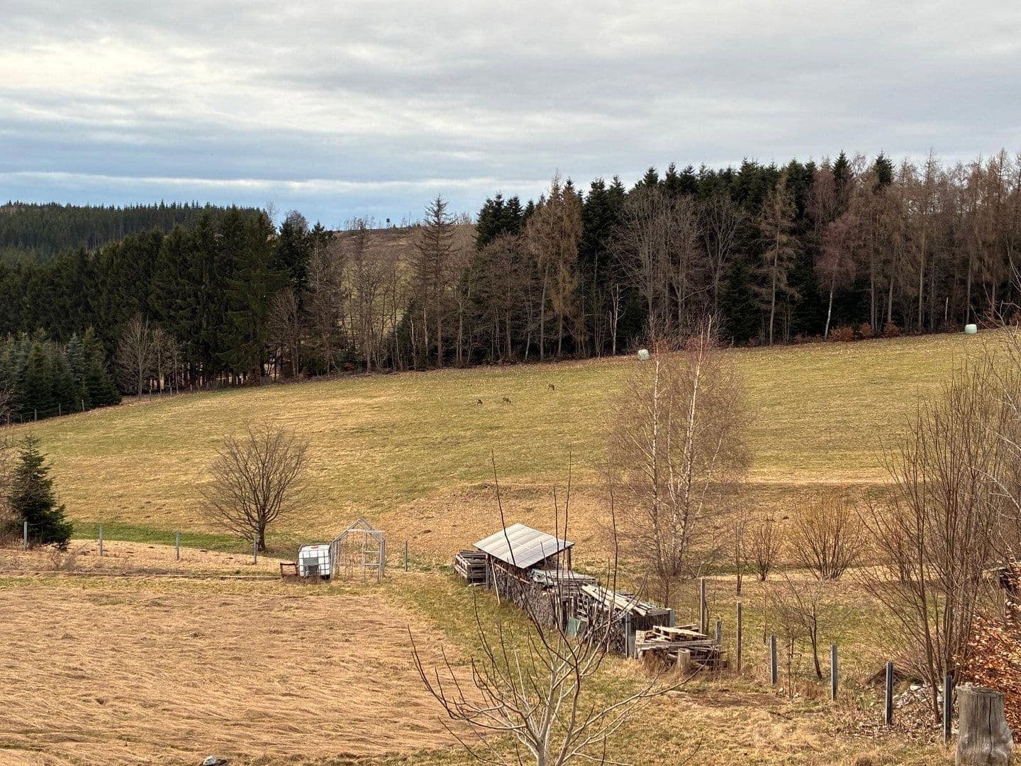 Prodej domu 128 m², pozemek 1.380 m², Helmbrechts, Bavorsko Prodej domu 128 m², pozemek 1.380 m², Helmbrechts, Bavorsko