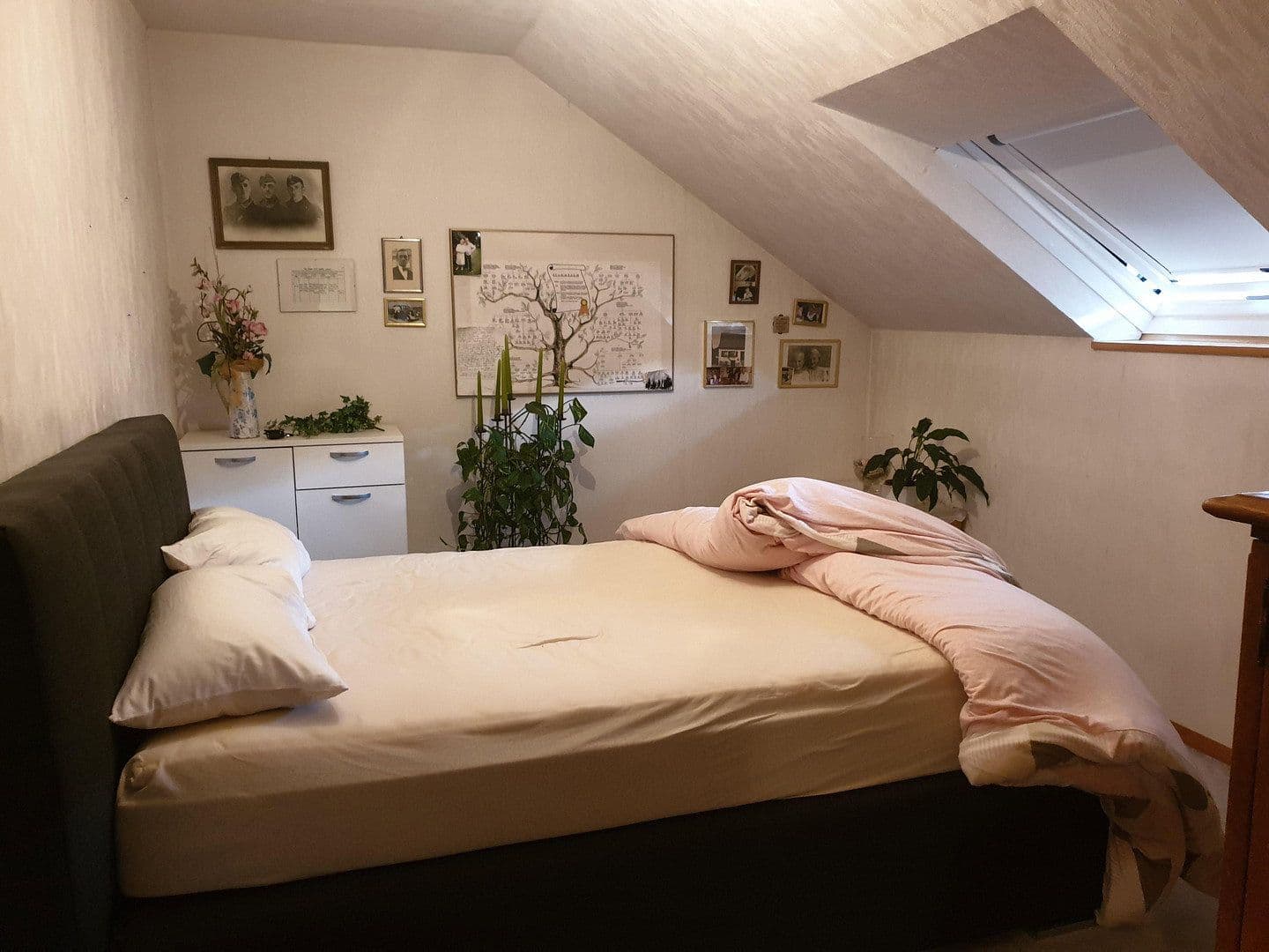 Prodej domu 290 m², pozemek 660 m², Neuhofer Straße 34, Neckargemünd, Bádensko-Württembersko Prodej domu 290 m², pozemek 660 m², Neuhofer Straße 34, Neckargemünd, Bádensko-Württembersko