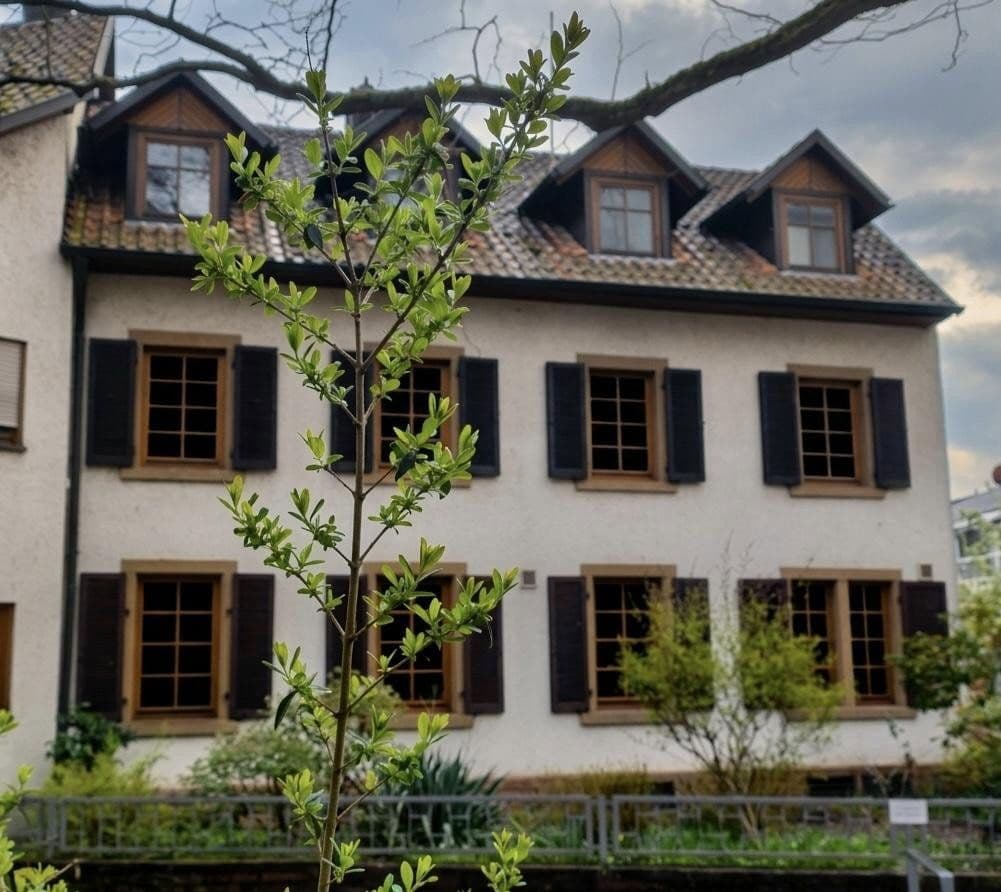 Prodej domu 481 m², pozemek 625 m², Friedenstraße 18, Offenburg, Bádensko-Württembersko Prodej domu 481 m², pozemek 625 m², Friedenstraße 18, Offenburg, Bádensko-Württembersko