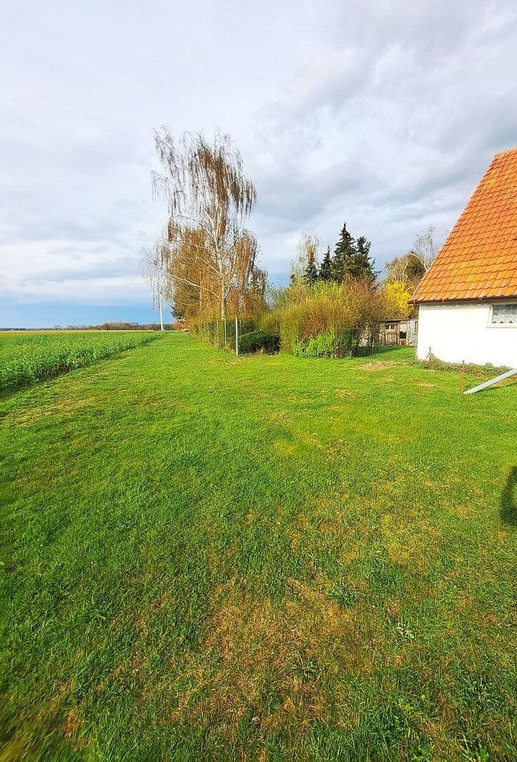 Prodej domu 92 m², pozemek 3.101 m², Dorfstrass 5, Boldekow, Mecklenburg-Vorpommern Prodej domu 92 m², pozemek 3.101 m², Dorfstrass 5, Boldekow, Mecklenburg-Vorpommern