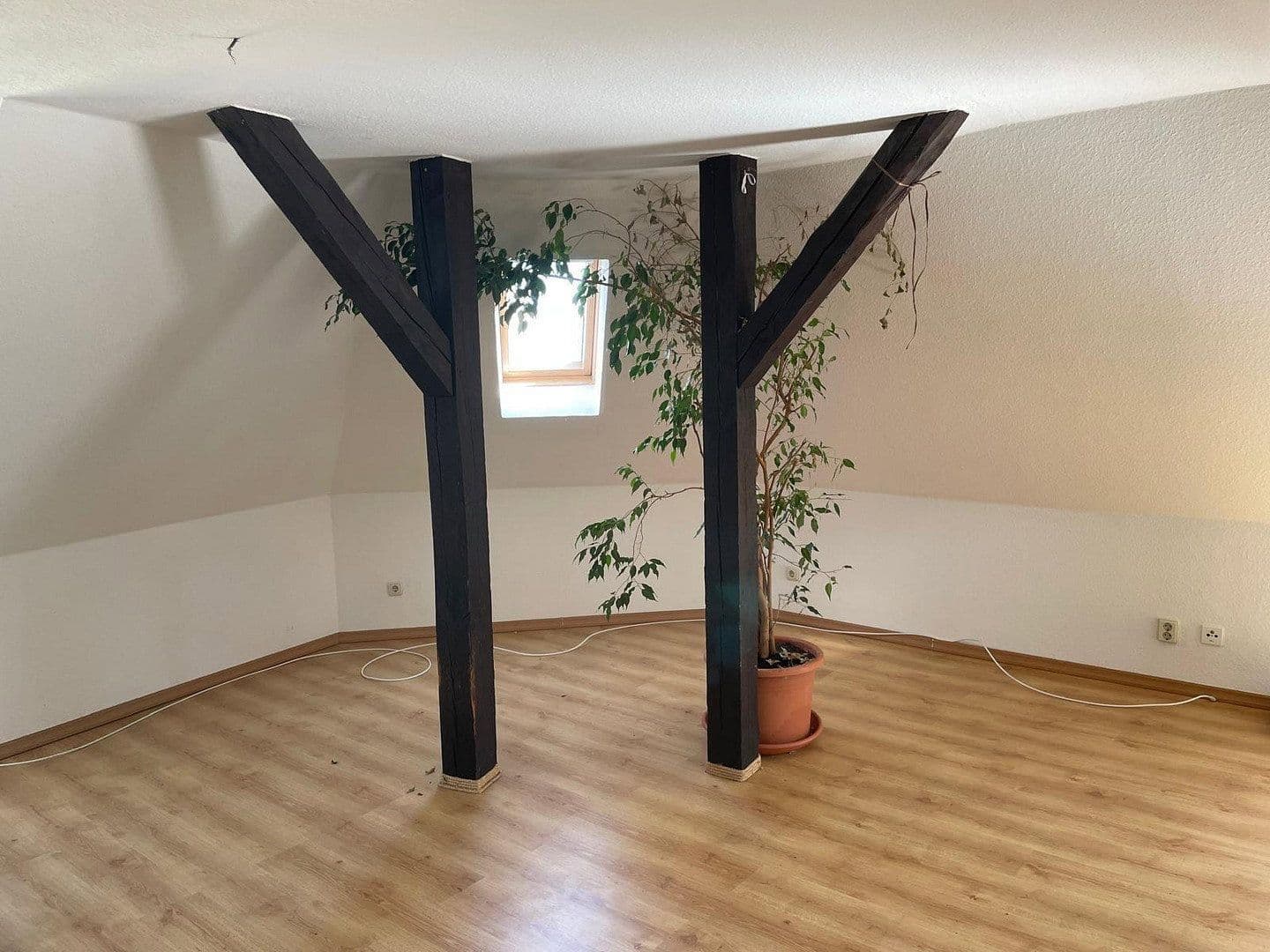 Pronájem bytu 3+1 112 m², Werderstraße 30, Dessau-Roßlau, Sasko-Anhaltsko Pronájem bytu 3+1 112 m², Werderstraße 30, Dessau-Roßlau, Sasko-Anhaltsko